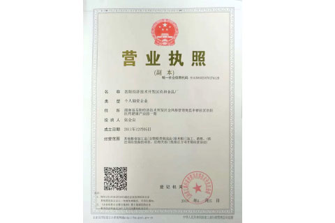 岳陽經(jīng)濟技術(shù)開發(fā)區(qū)玖和食品廠 營業(yè)執(zhí)照